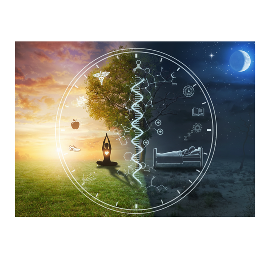 Rythme Circadien : Le pilier invisible de votre santé globale